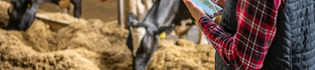 Beratung Cow-how milk