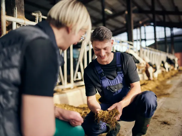 Expert advice on cattle 