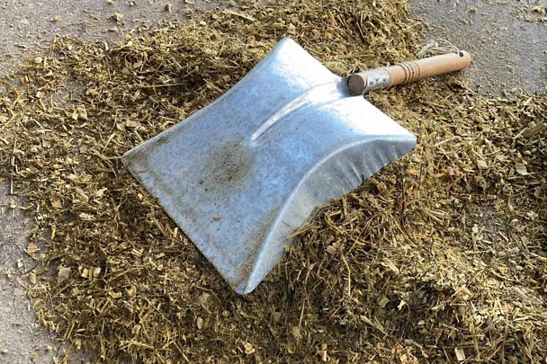 Step 4 of the bucket test Step 4 of the bucket test