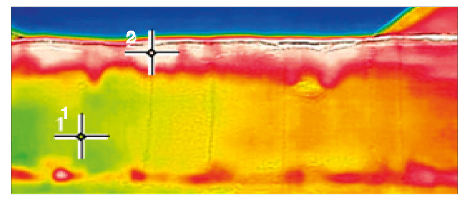 Reheated maize silage Reheated maize silage