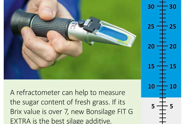 Zuckergehalt bestimmen mit Refraktometer