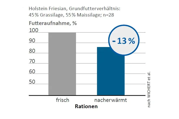 Nacherwärmung der Mischration reduziert die Futteraufnahme der Kühe
