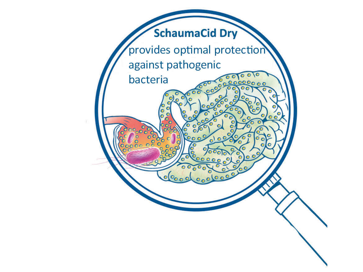Effects of  SCHAUMACID DRY