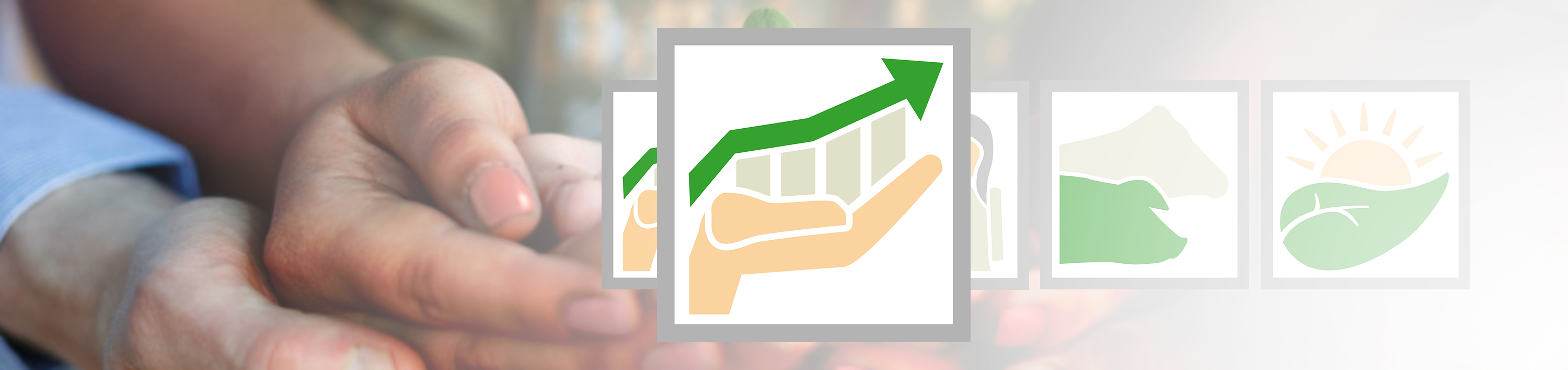 de_fot_54706135_haende_nachhaltigkeit_icons_rentab_3000x710px